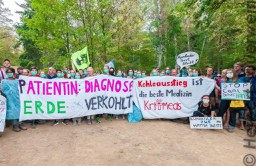 Sofortiger Stopp der Räumungen im Hambacher Forst